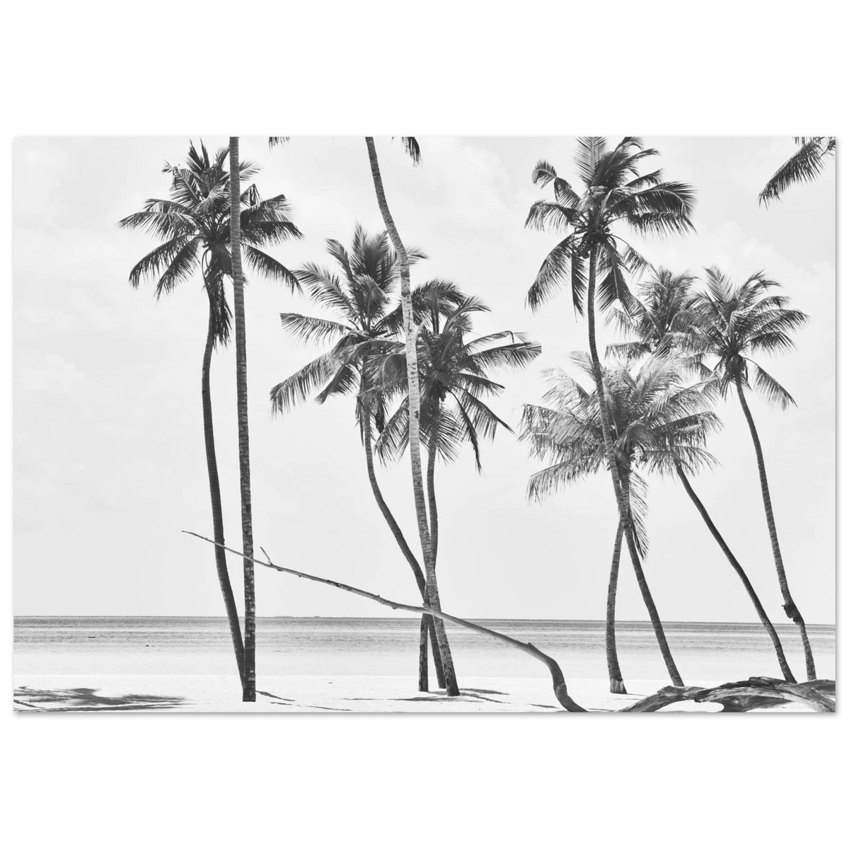 139e60f6-e10d-44ef-ba88-21e2b61ac005