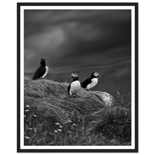 1904a7fd-00ff-4fb7-b232-b5d09b782752