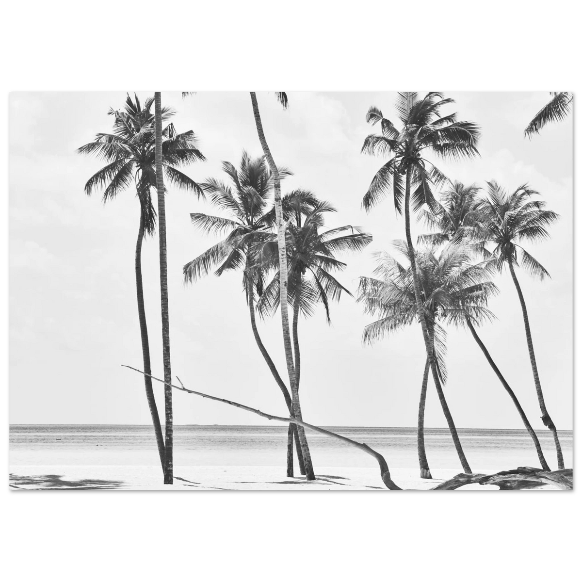 30547271-b4c6-4b6b-bcba-3656a1767057