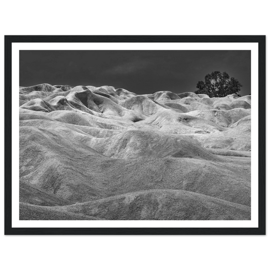 451d461e-834f-44da-8ff6-38e52dd00b6e