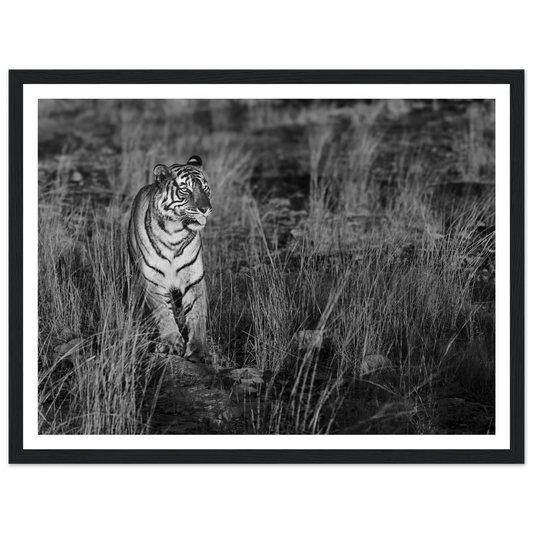 6369eb9e-aac1-4463-8f73-a8647f7089d5