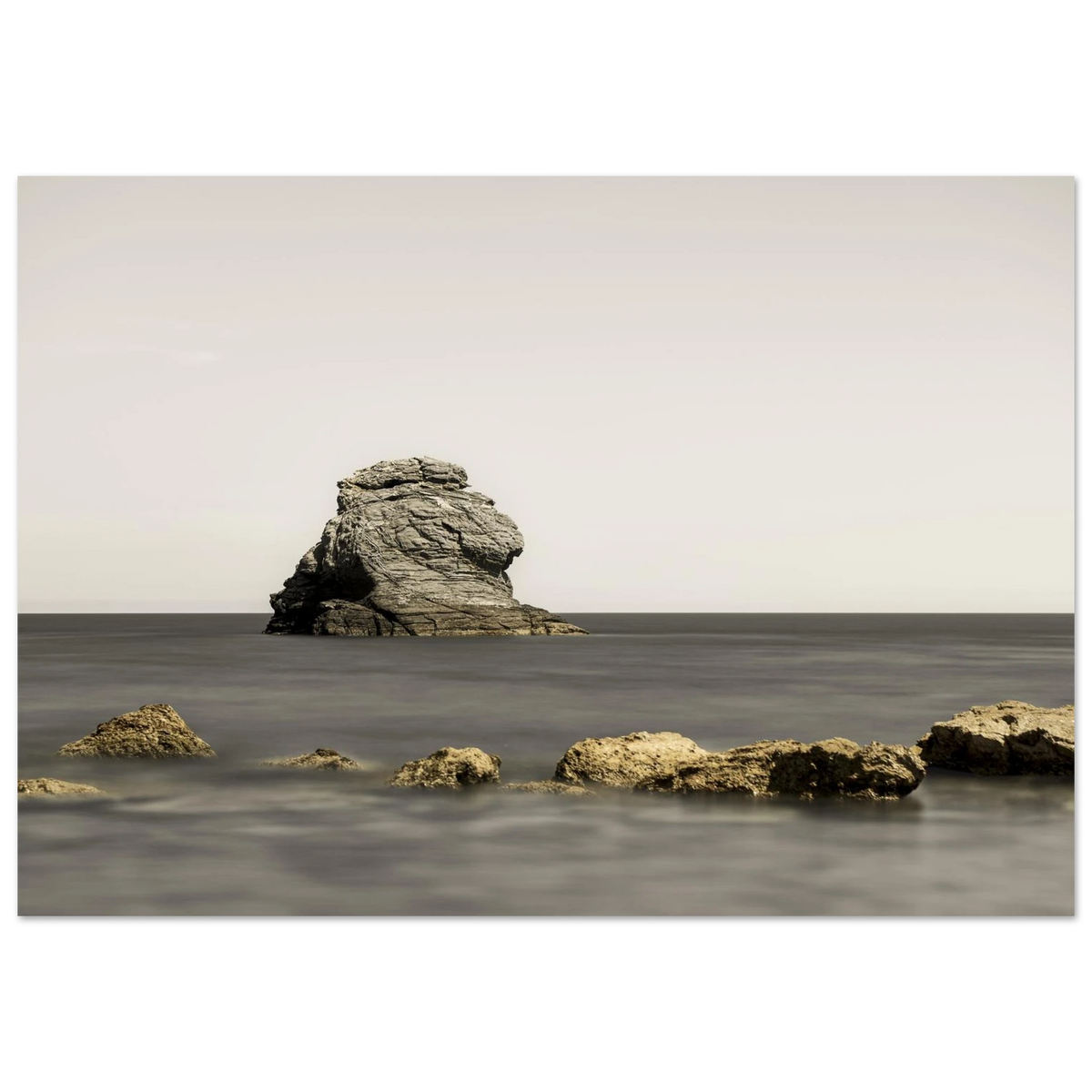 72d93835-1864-4f8f-bfd7-2e1c83cf5aac