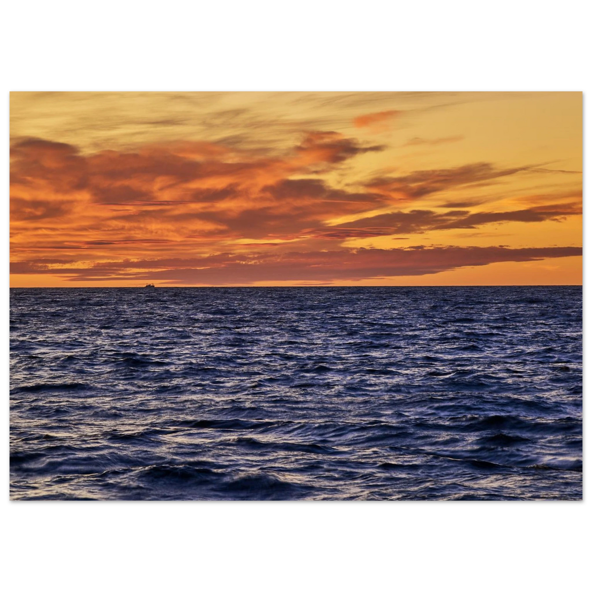 74f1bbe6-2018-4d5d-b0e7-7c355061734b