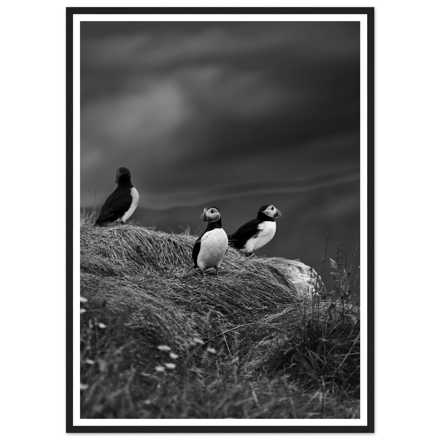 a0d22b2e-291e-474e-8f7d-3b53bac0e544