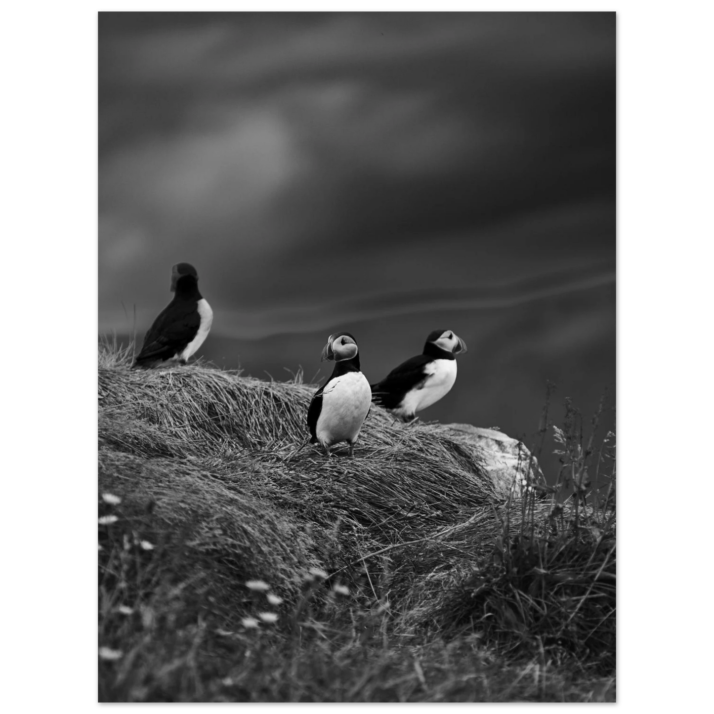 a5dac007-c2b9-4989-a353-4ab0c1a4c1a7