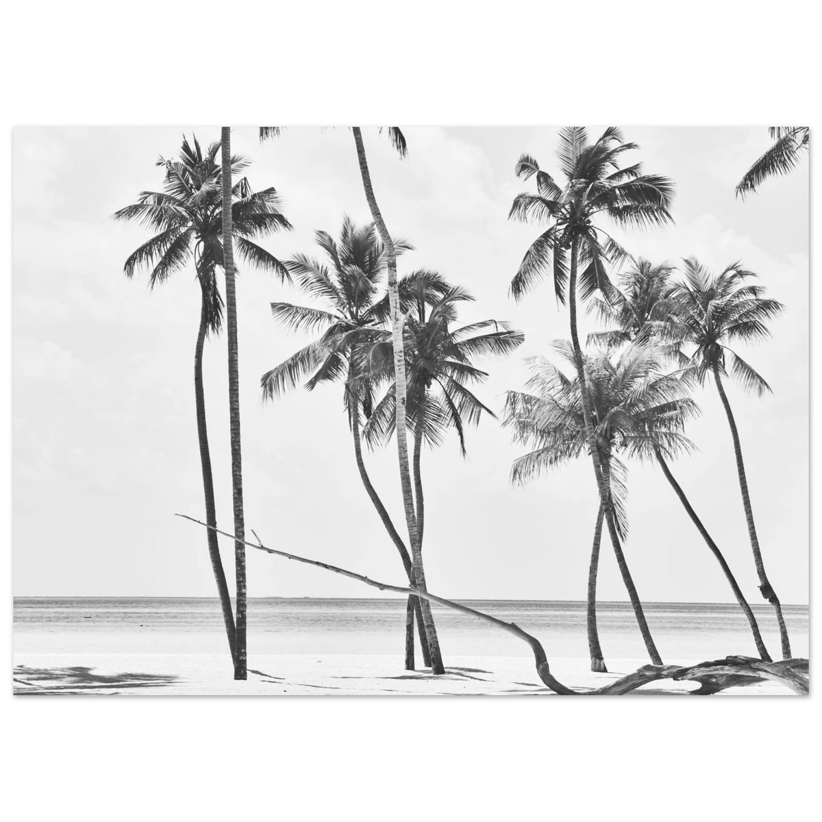 b6960246-dde6-490f-b56e-8ff9a4ecc6fe