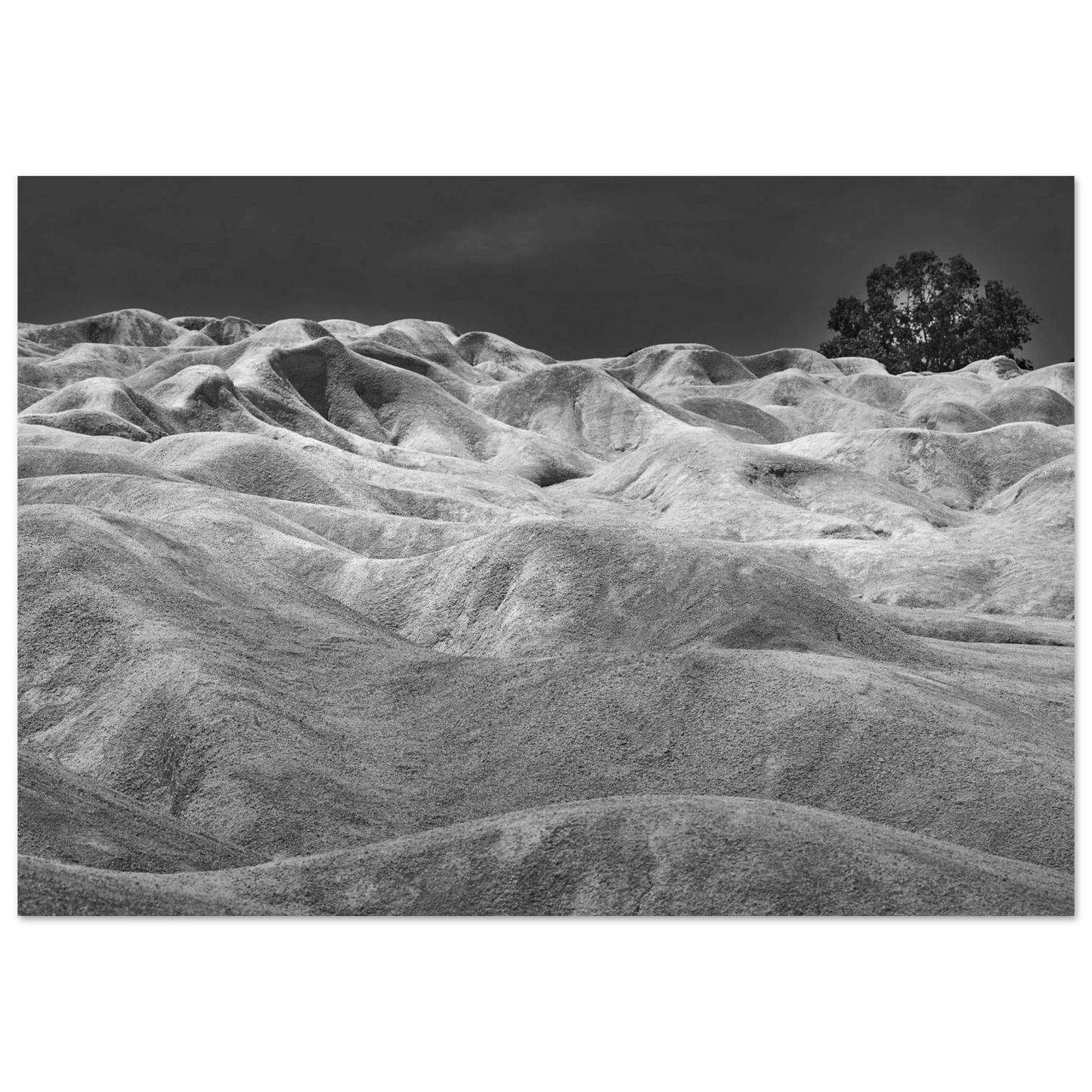 cfcf5d09-50c6-4428-ae37-66208f4e855a