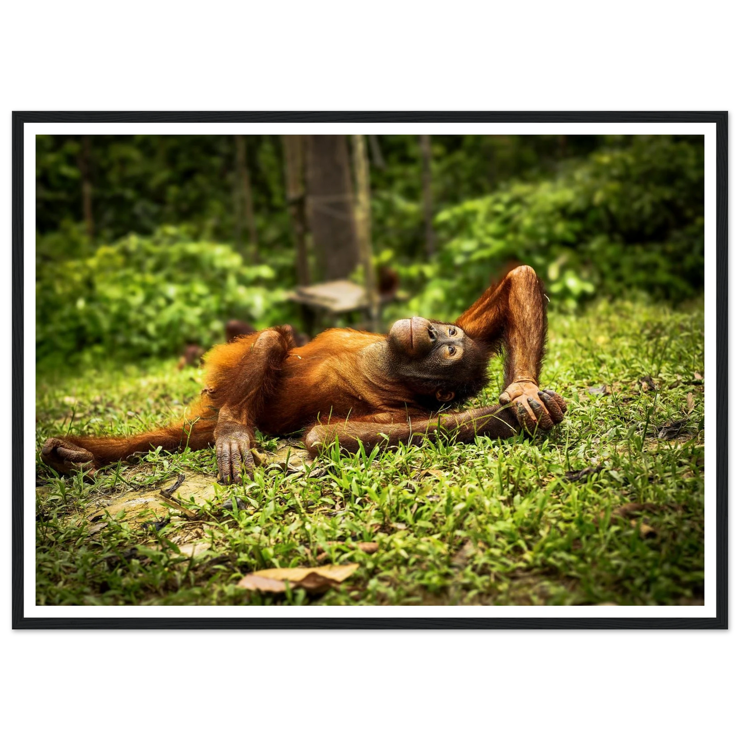 fca03ac2-b746-40e5-b28b-db7dc0bfb3e8