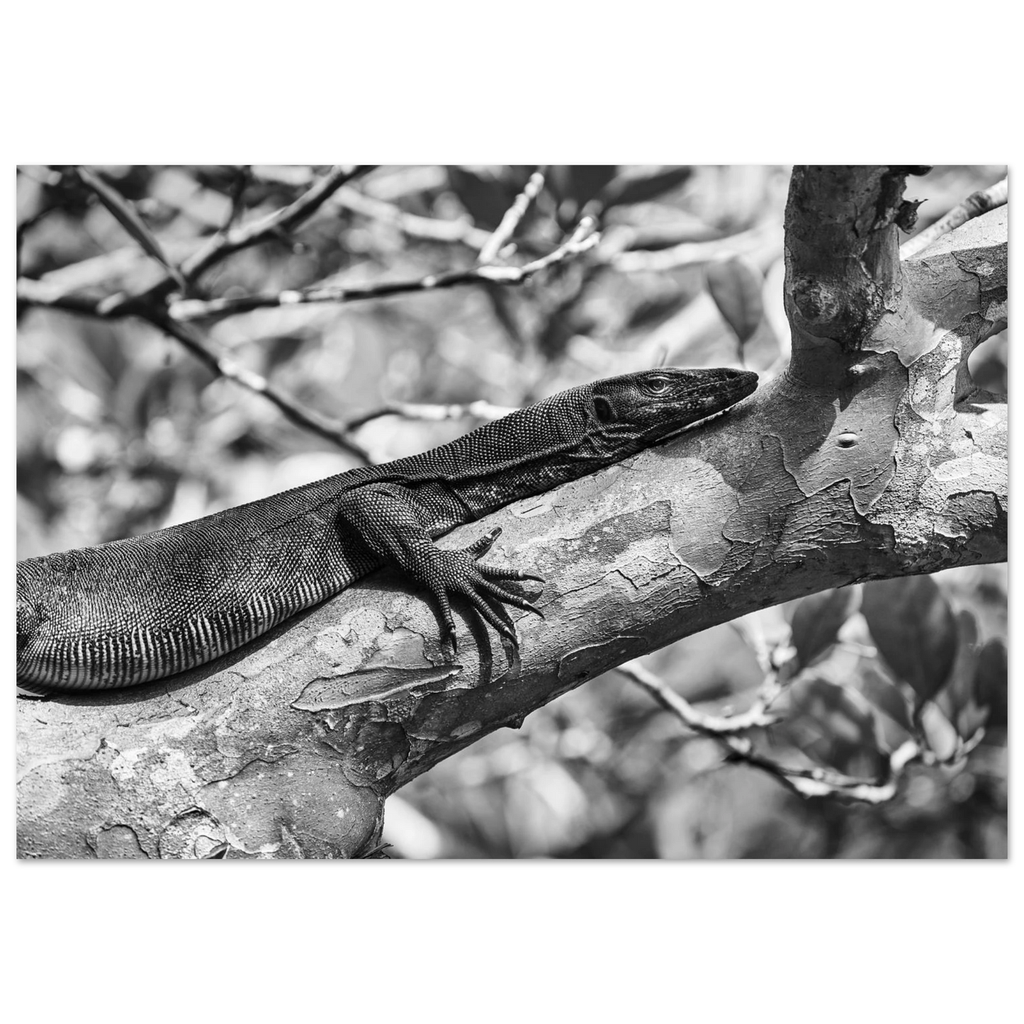 05c3cfeb-d262-451b-89d1-0efee545e6be