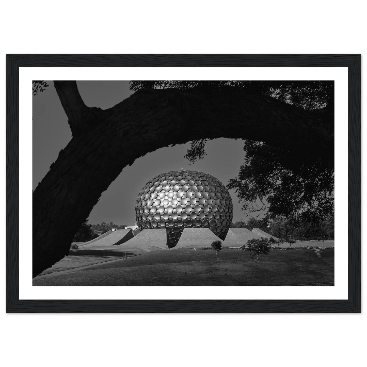 0740faff-951e-4ffd-85be-52cc3c6fa229