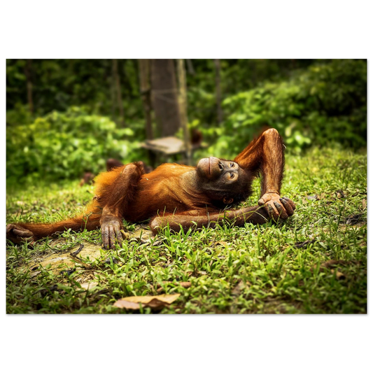 118200a7-3c92-4af6-8f2c-cad3857a180b