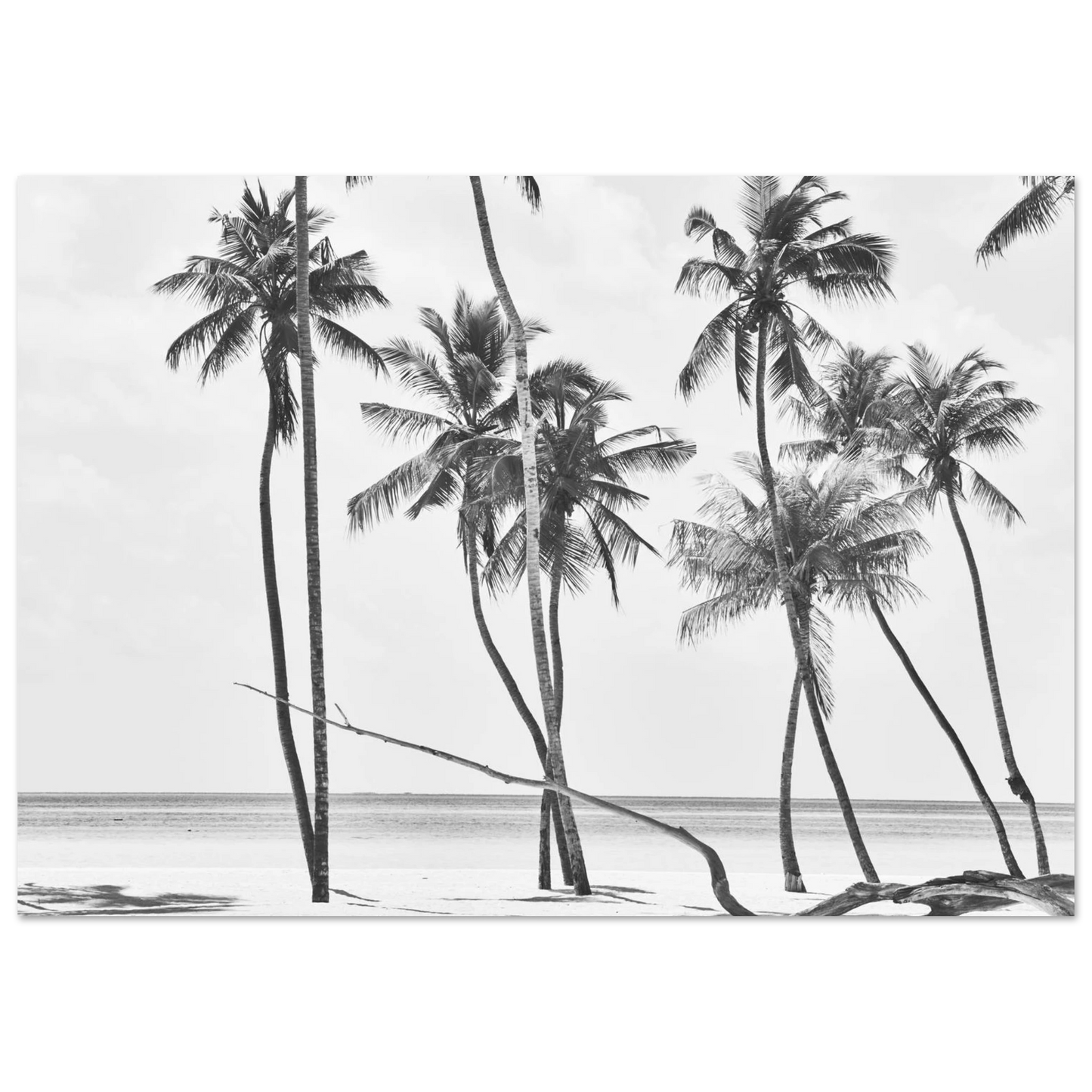 139e60f6-e10d-44ef-ba88-21e2b61ac005