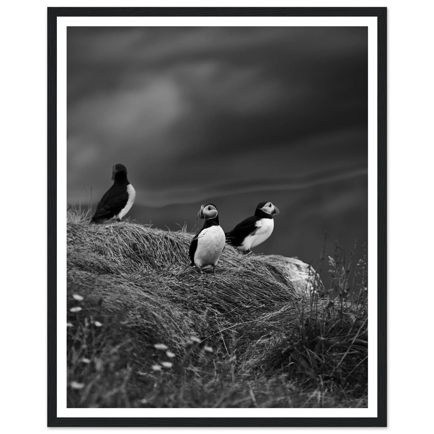 1904a7fd-00ff-4fb7-b232-b5d09b782752