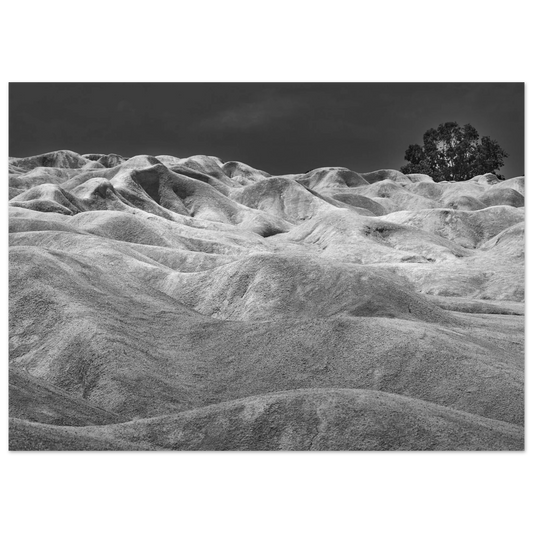 2b060620-42cd-4fa4-87df-666ba7030b5c