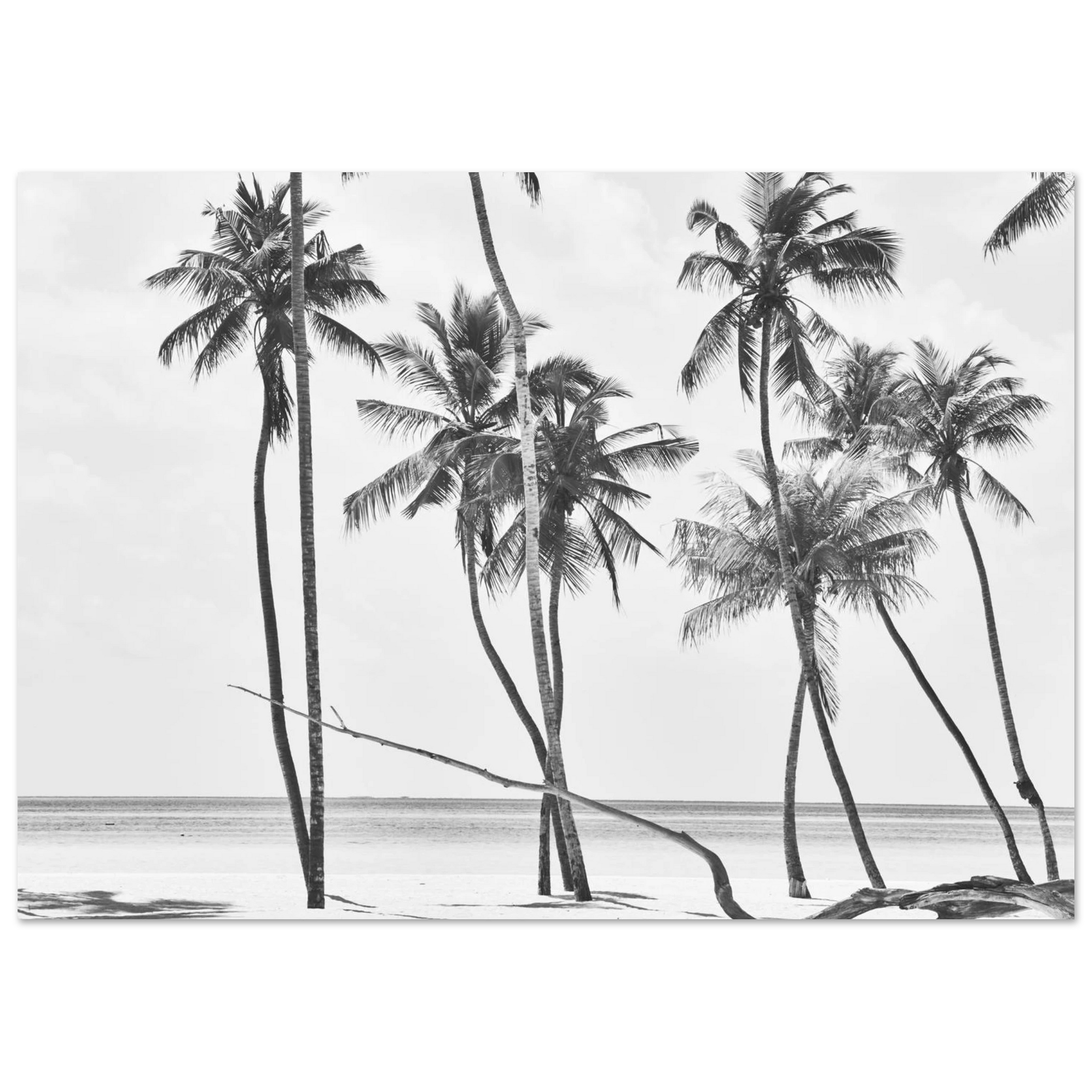 30547271-b4c6-4b6b-bcba-3656a1767057