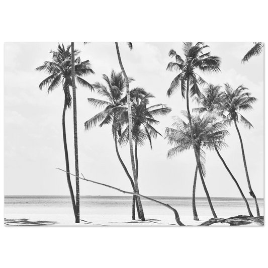 30547271-b4c6-4b6b-bcba-3656a1767057