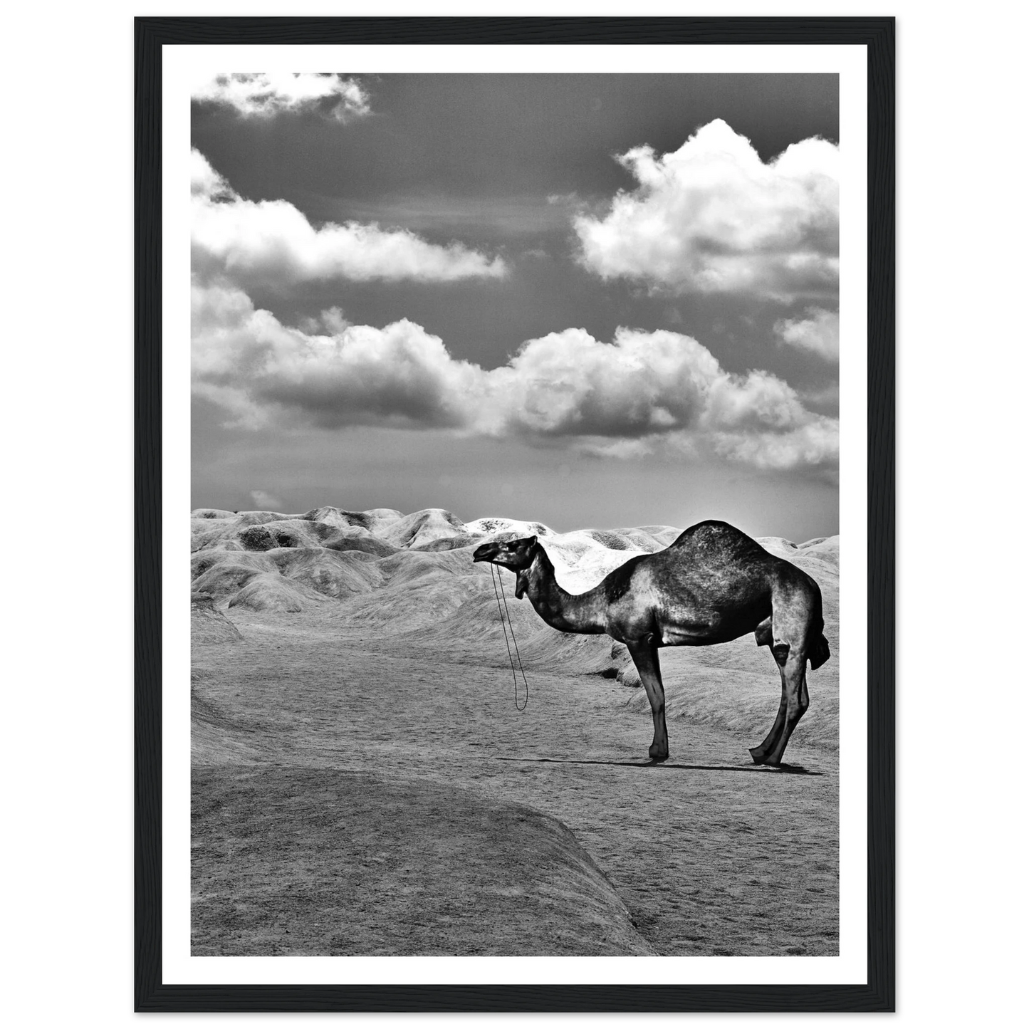 35aee40a-f1fb-4e70-8d1c-e9c2b020a66e