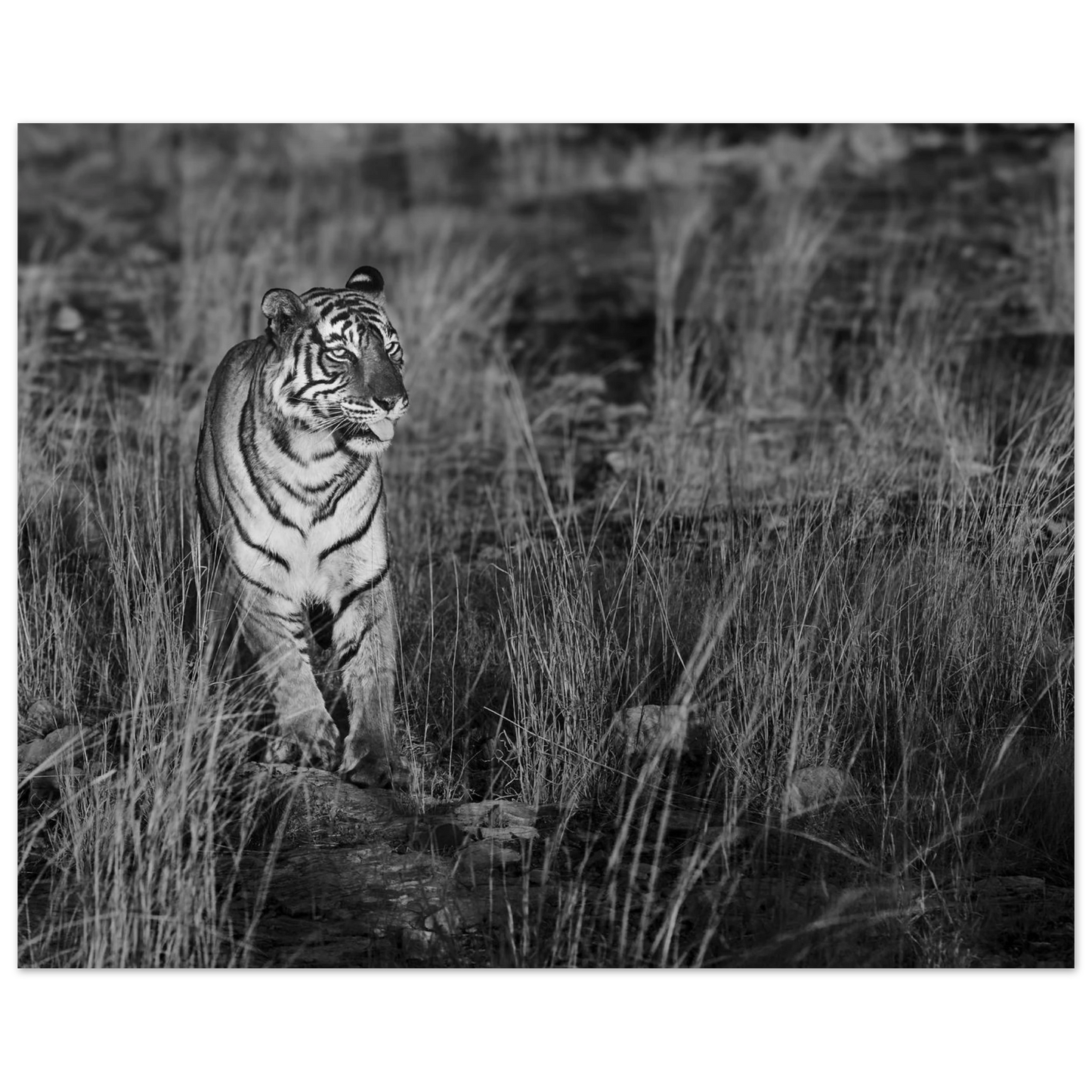 3b987c9d-fe8e-4622-981a-7af2b964eecf