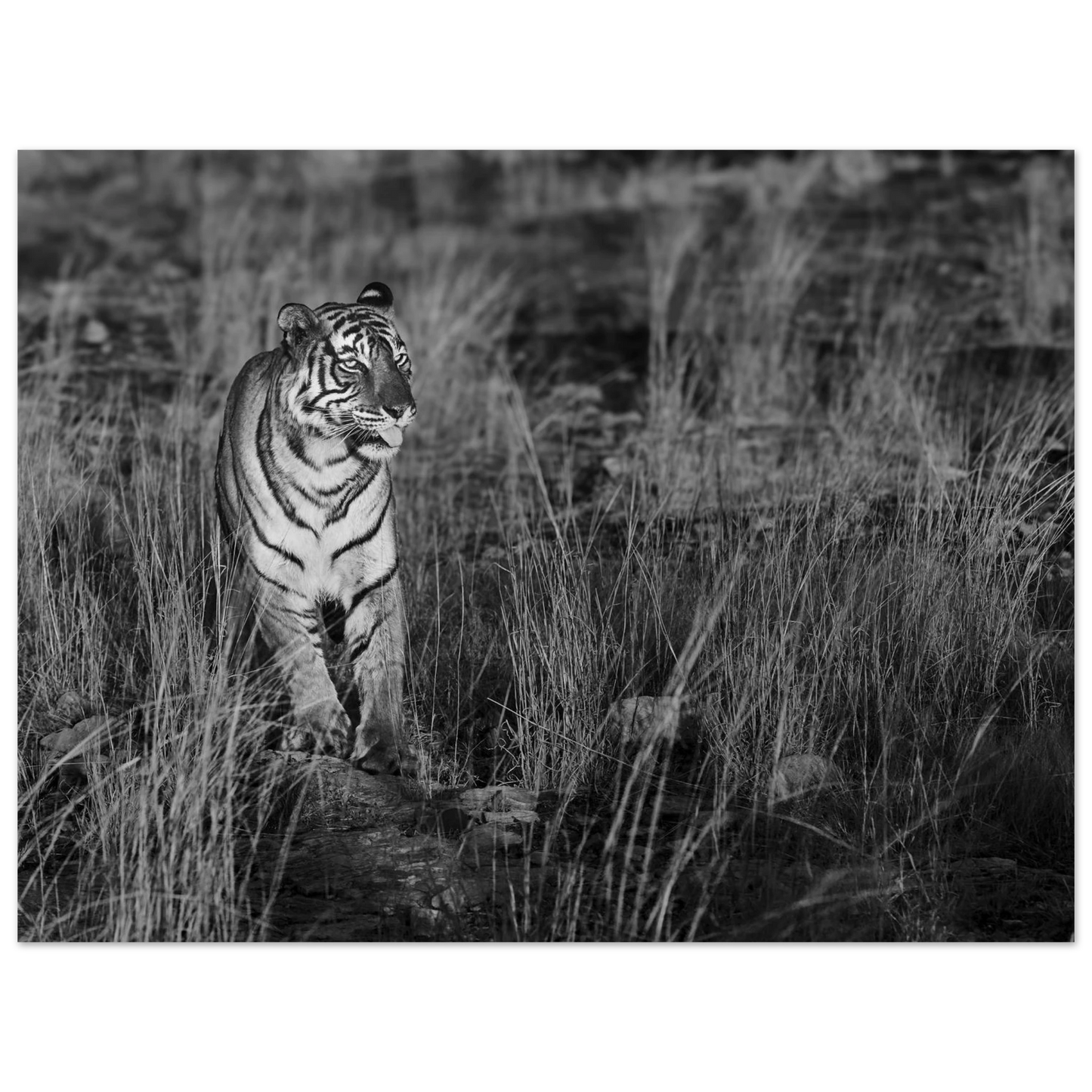 40a3138e-61af-43a0-bb97-ec19437d0116