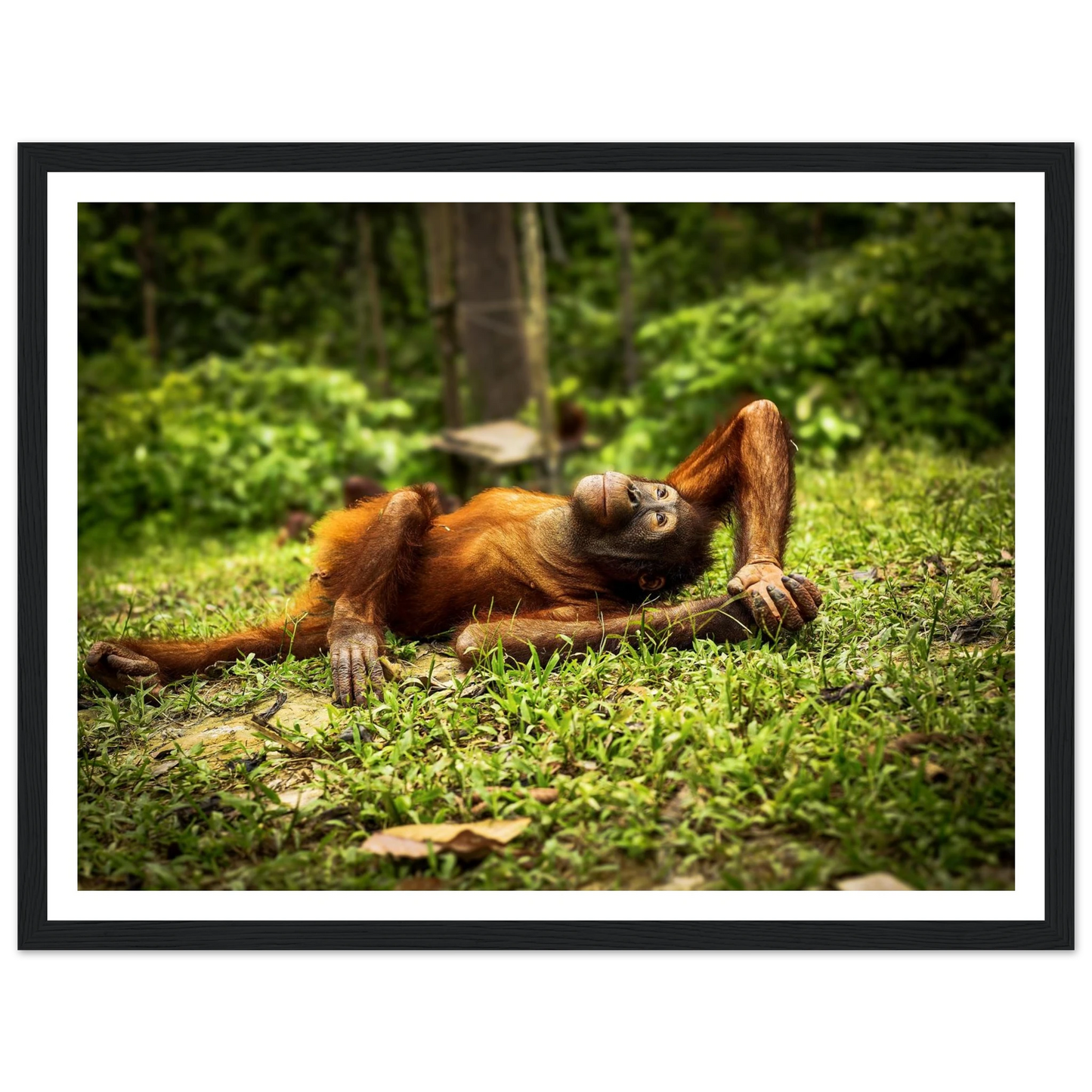 4604acb4-286b-439c-b993-b58eb3726c71