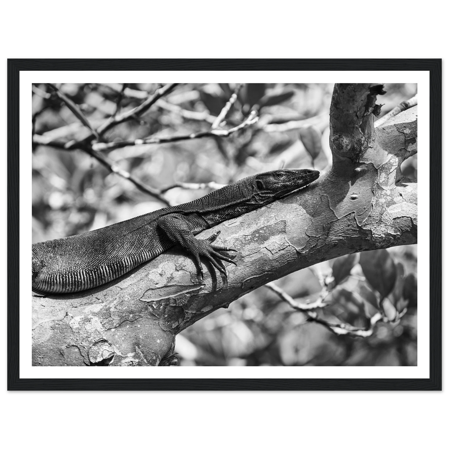 47bdeed8-bc05-4b92-be7a-348aaa986c3b