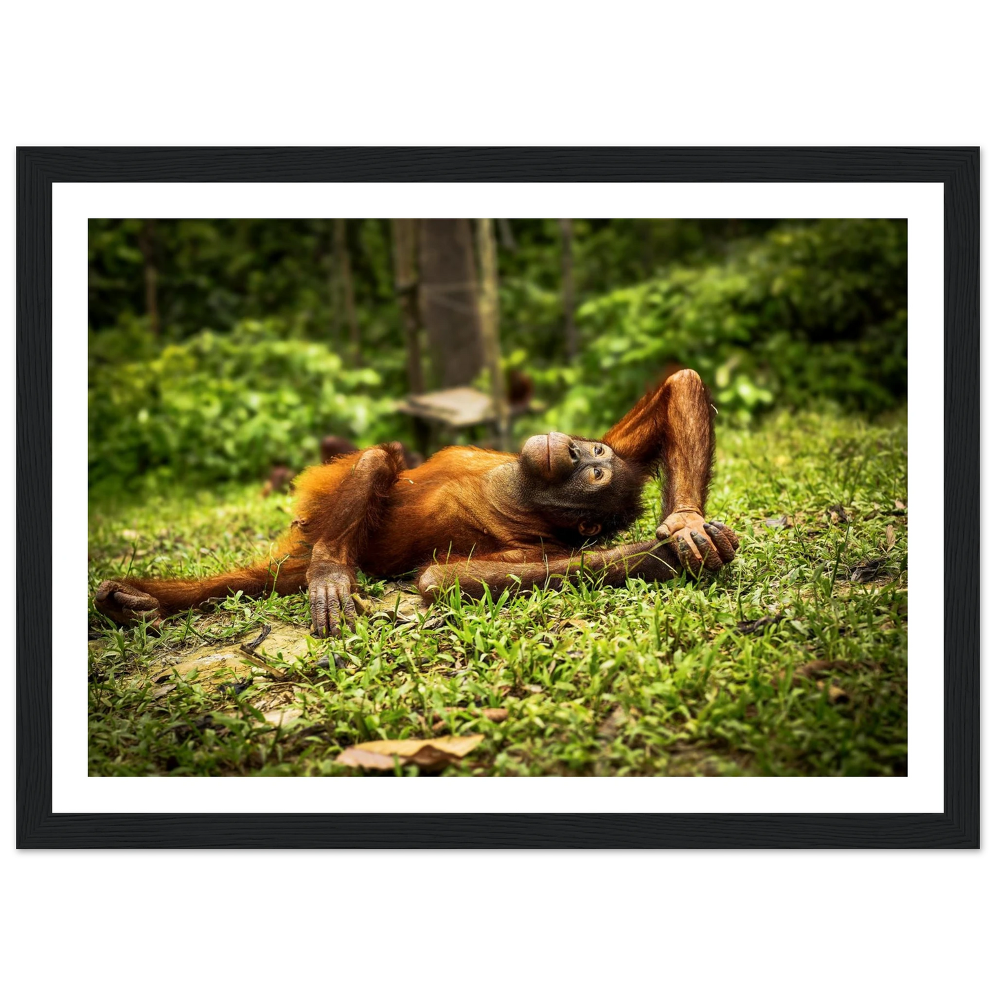 4d86f8cb-3f9f-4a76-8f58-0c97ffa2168c