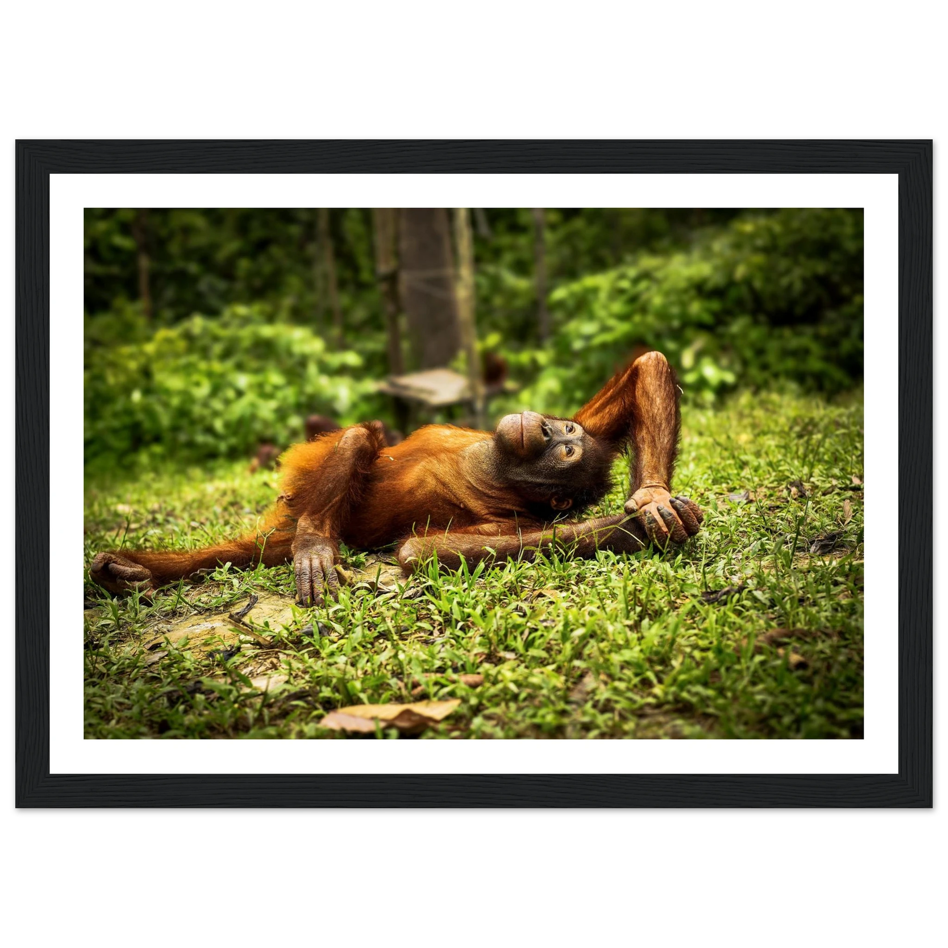 4d86f8cb-3f9f-4a76-8f58-0c97ffa2168c