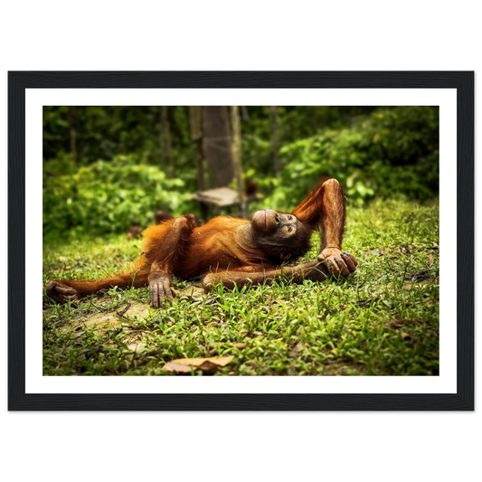 4d86f8cb-3f9f-4a76-8f58-0c97ffa2168c