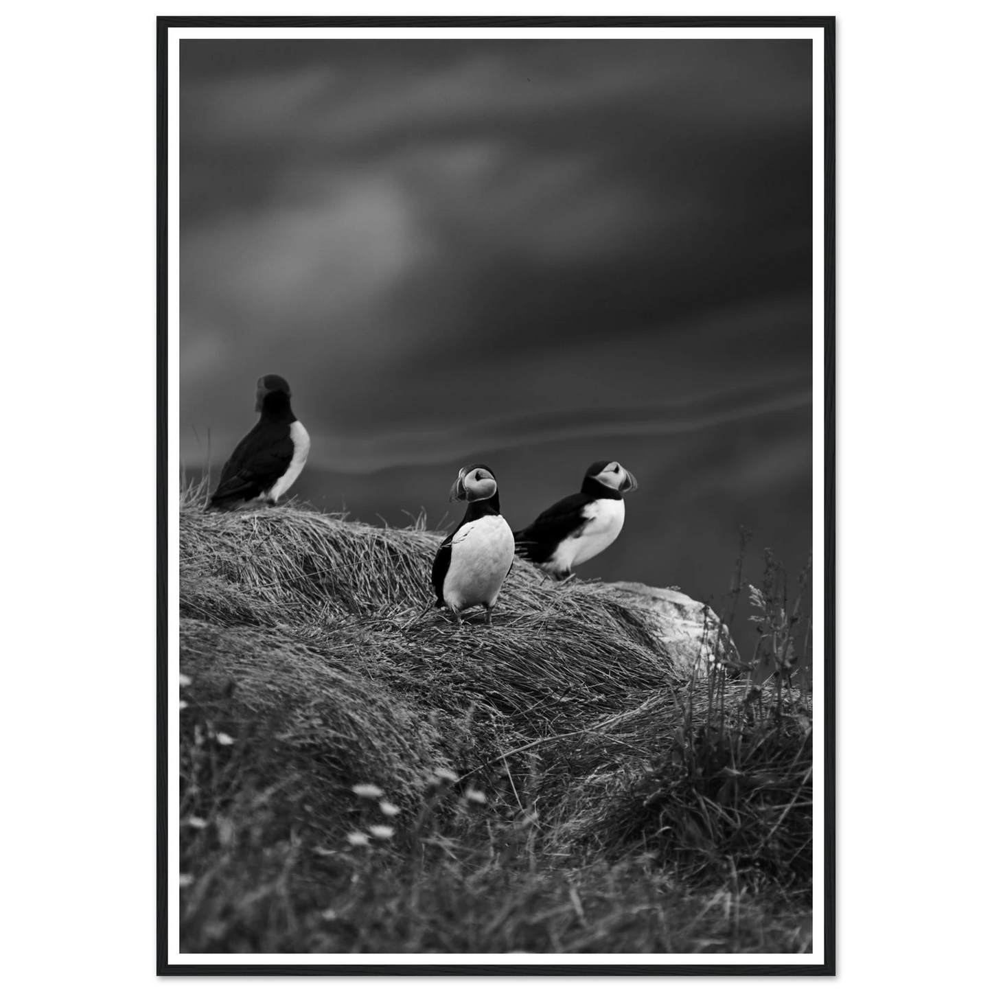 4ecd1578-5def-4cb9-ba83-a382e8aff927