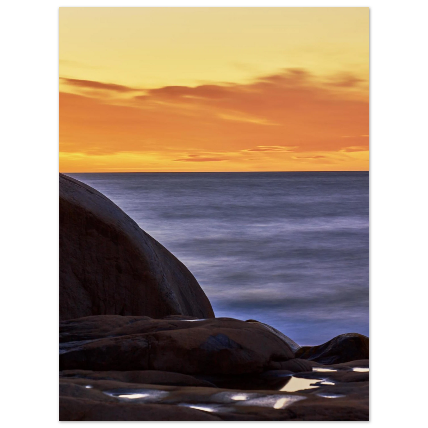 50ea85e9-2e51-430b-8e4b-054049dbdca0