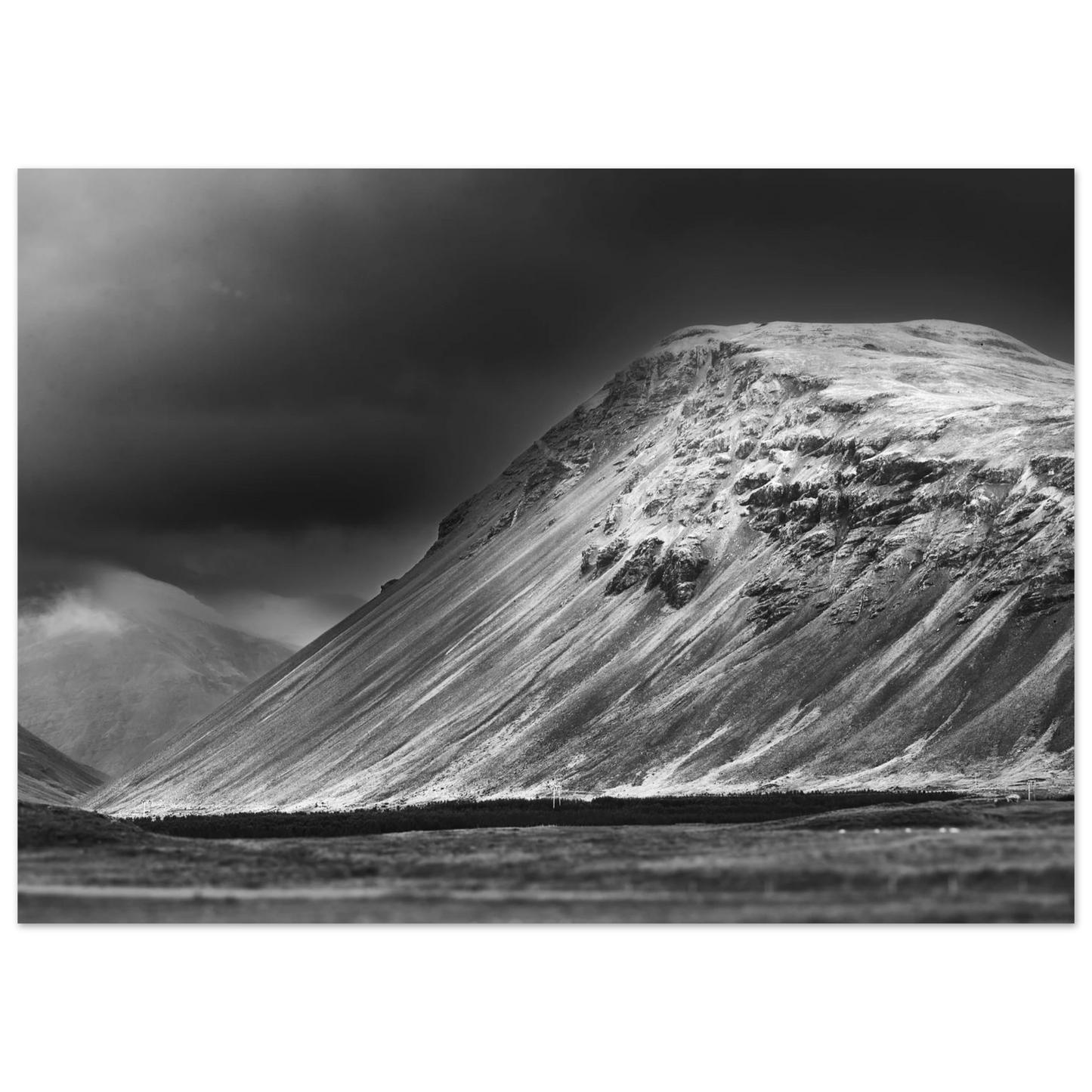 51665ee6-98e5-42ed-8d95-7ca57acf78e6