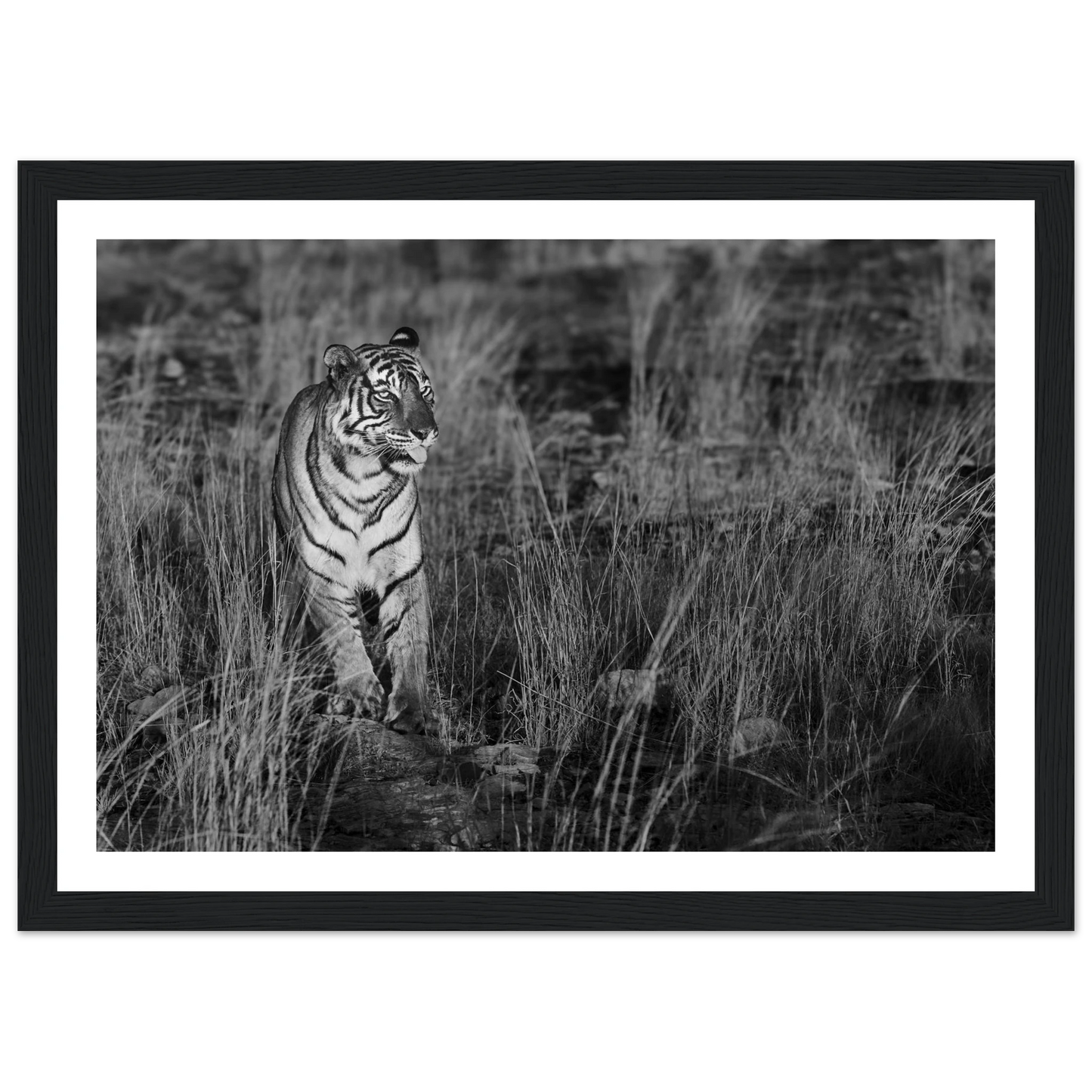 51a0bbbb-5b34-4359-9caa-32e51f3cb335