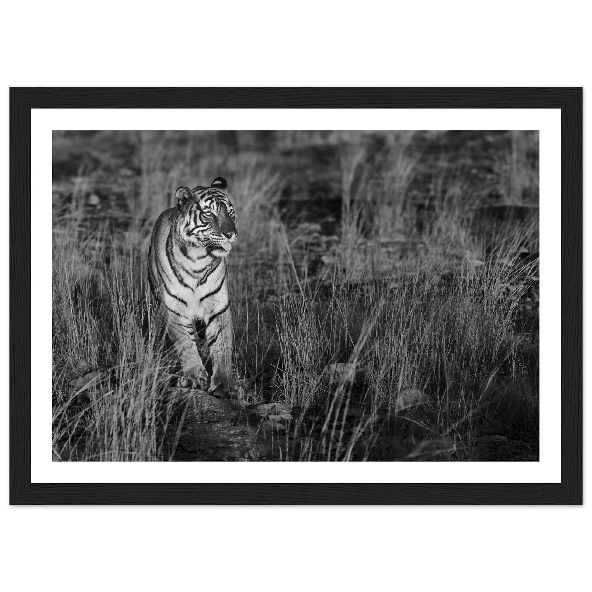 51a0bbbb-5b34-4359-9caa-32e51f3cb335