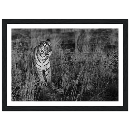 51a0bbbb-5b34-4359-9caa-32e51f3cb335