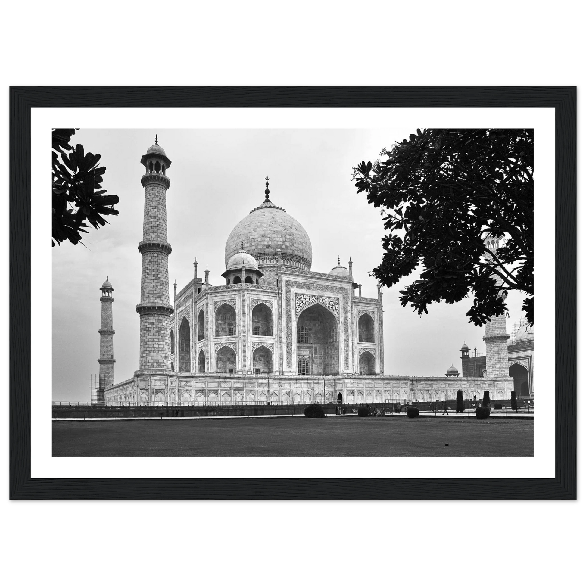 5d1053bb-a907-4d25-a4bb-e7fa3436f61e