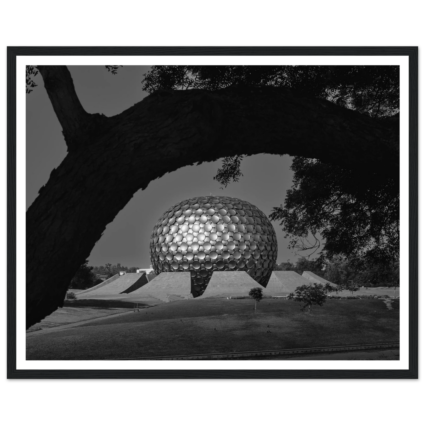 60e8d0f6-4987-4bfa-8c12-077fe2e976ca