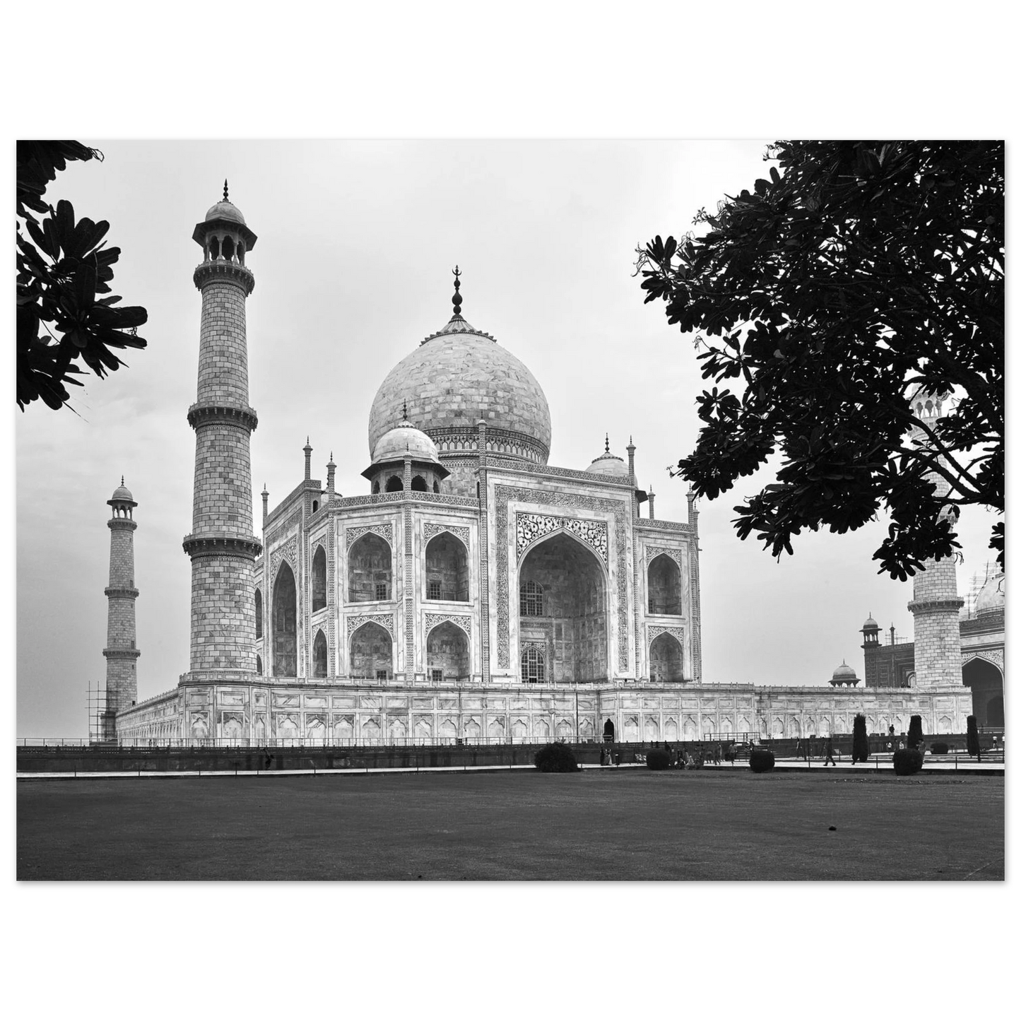 62c521f3-e73e-427e-9ccb-939b0c9823fb