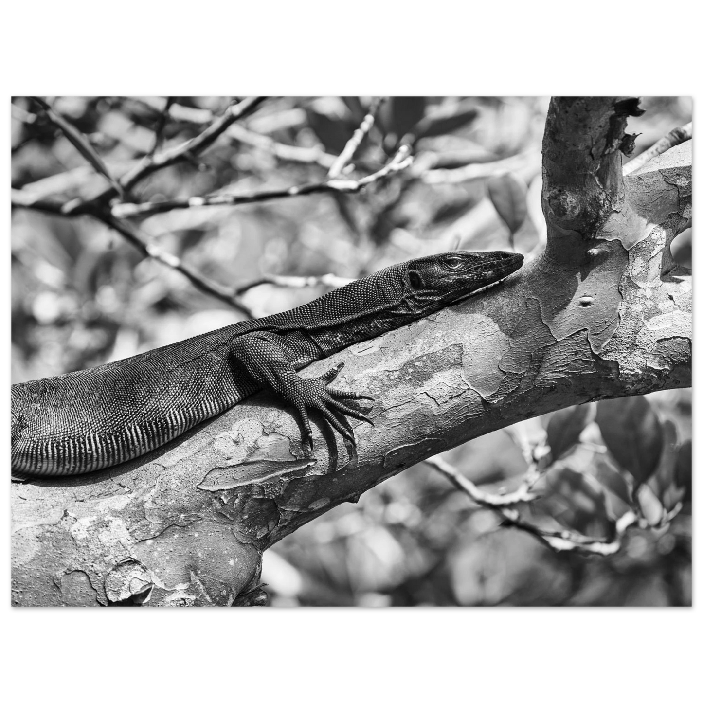 62ce0222-ede3-4434-b37e-56f42143b2f6