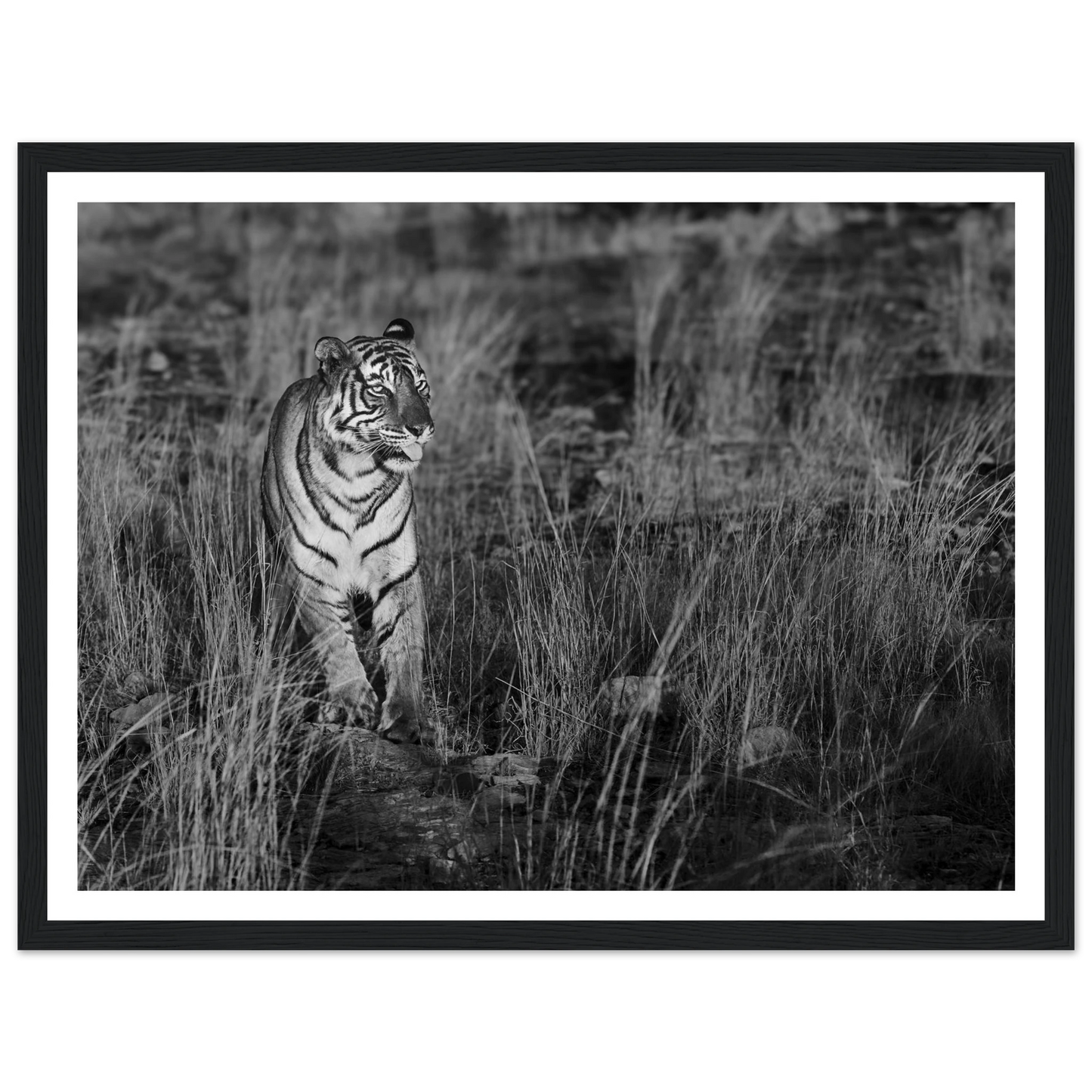 6369eb9e-aac1-4463-8f73-a8647f7089d5