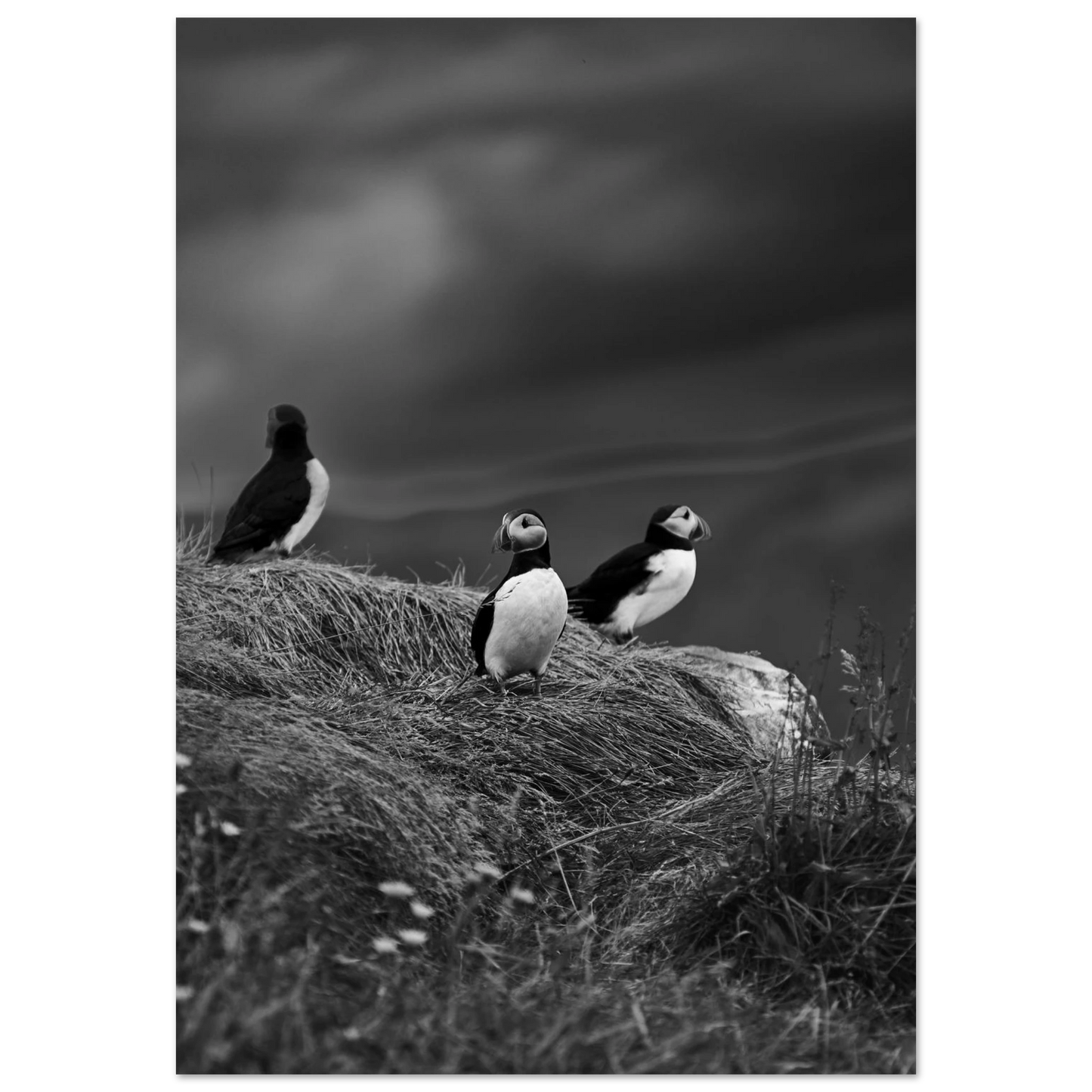 655a1c0c-cb1e-4264-ae1d-f3cbef92f7a1