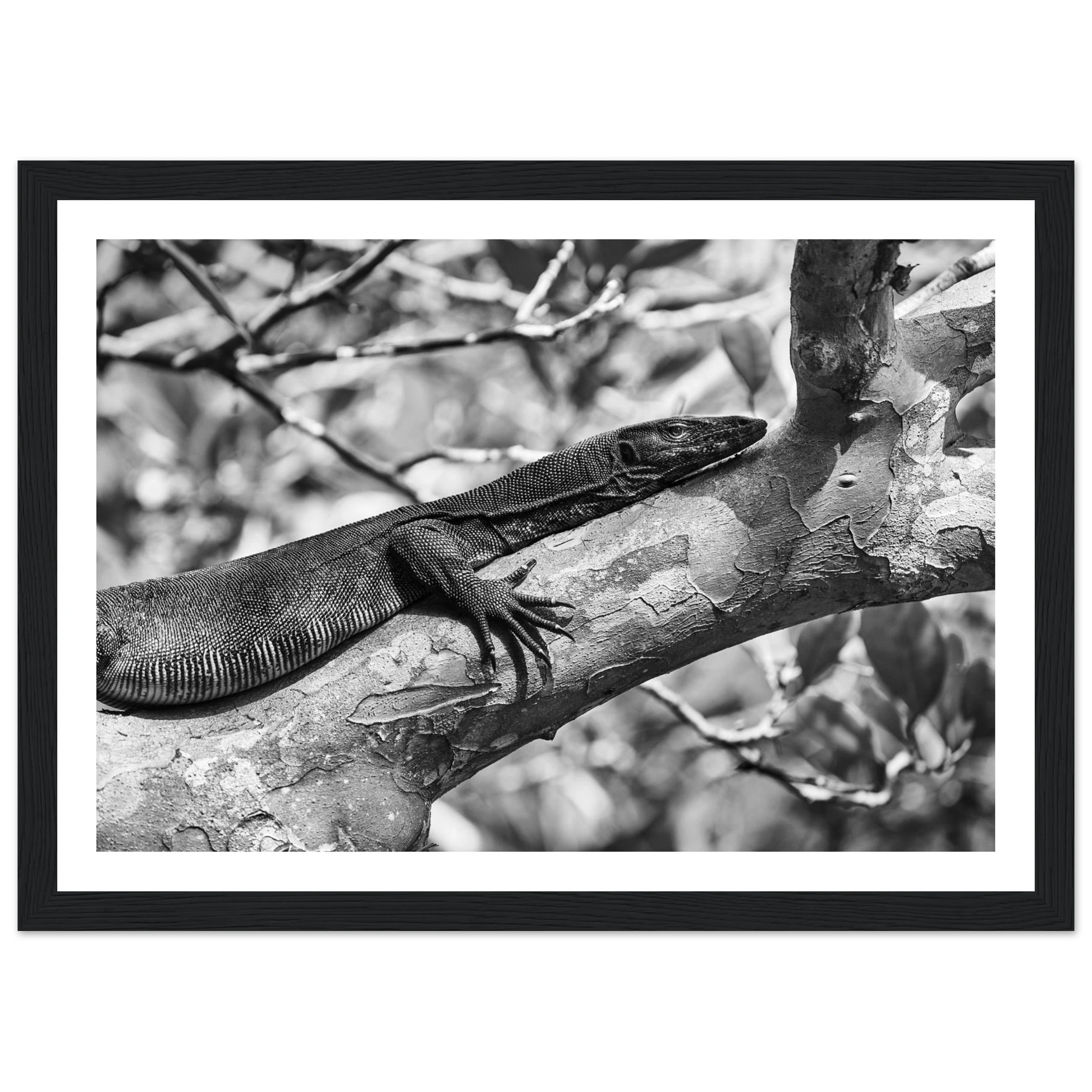 676feafb-8a1d-4828-8ae6-9d7cf4f80cde