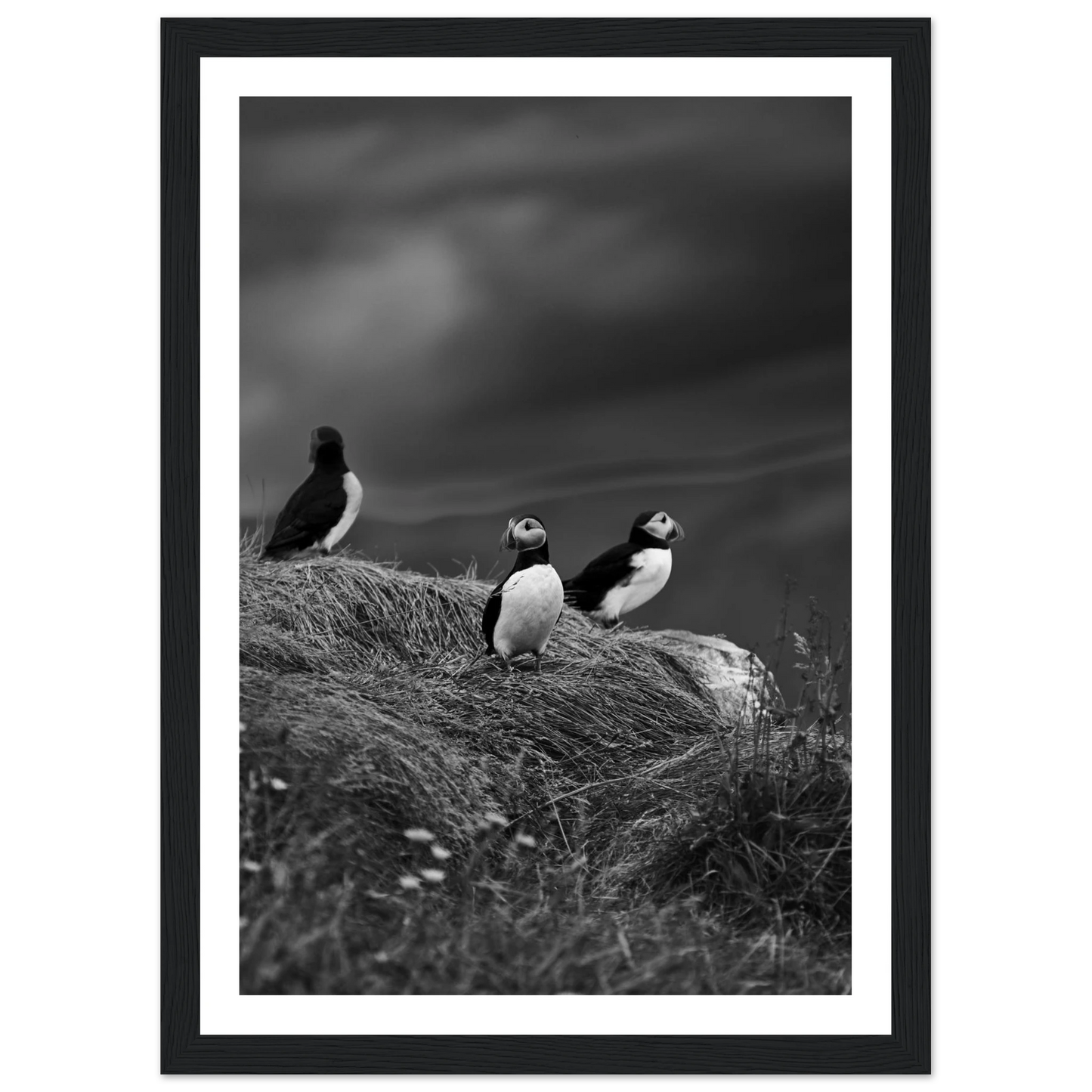 67e249a2-7600-4d59-8808-5e3d923823cc