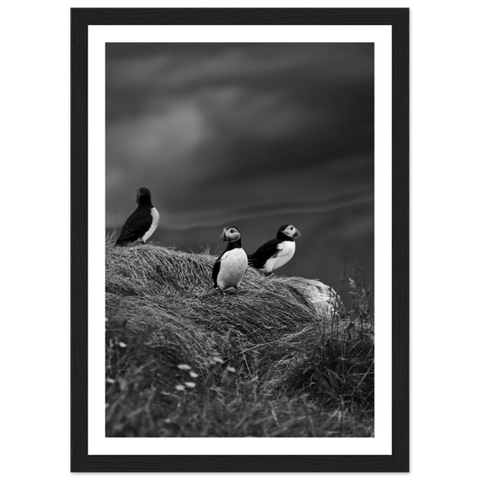 67e249a2-7600-4d59-8808-5e3d923823cc