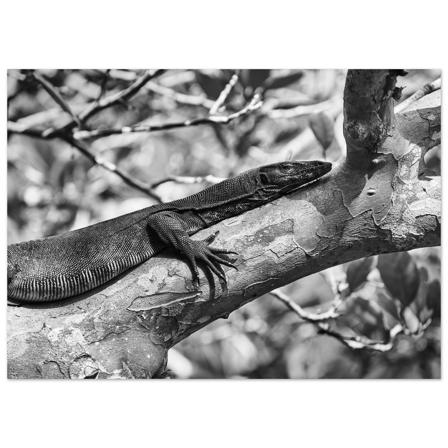 67e3494a-356a-4fcd-b423-2970ebd1d58c