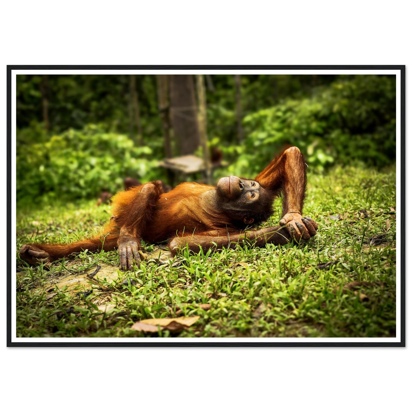 67ef9686-c6bc-4a14-b0a5-7e3c991771c3