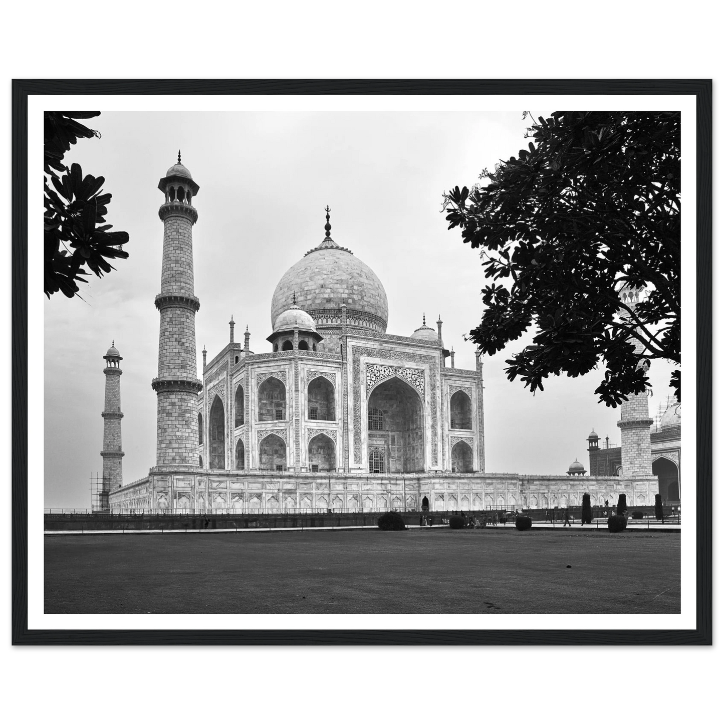 6a4f3274-5335-424f-96ad-32909c20d22f