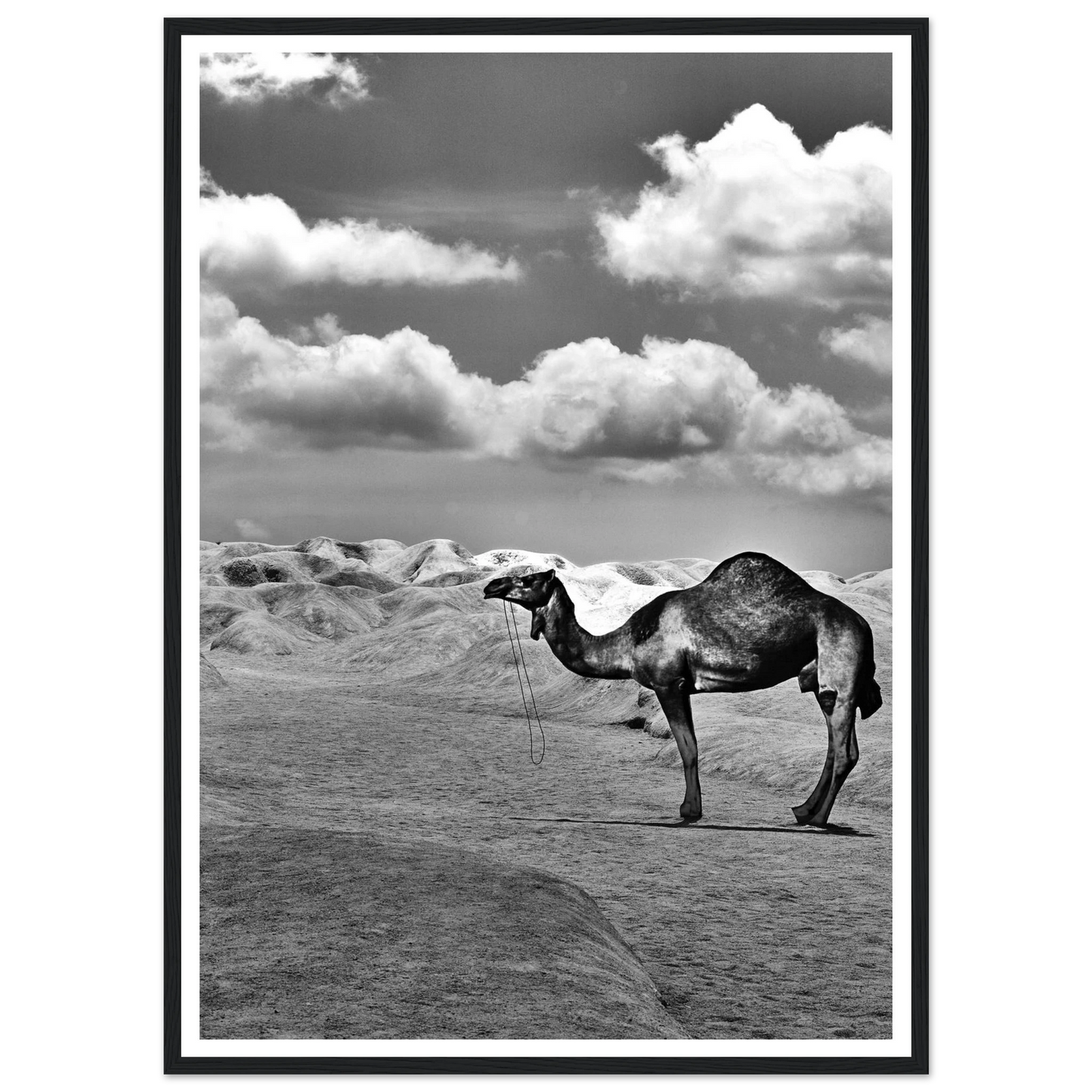 6c706669-58d2-4793-b4db-1d861f229588