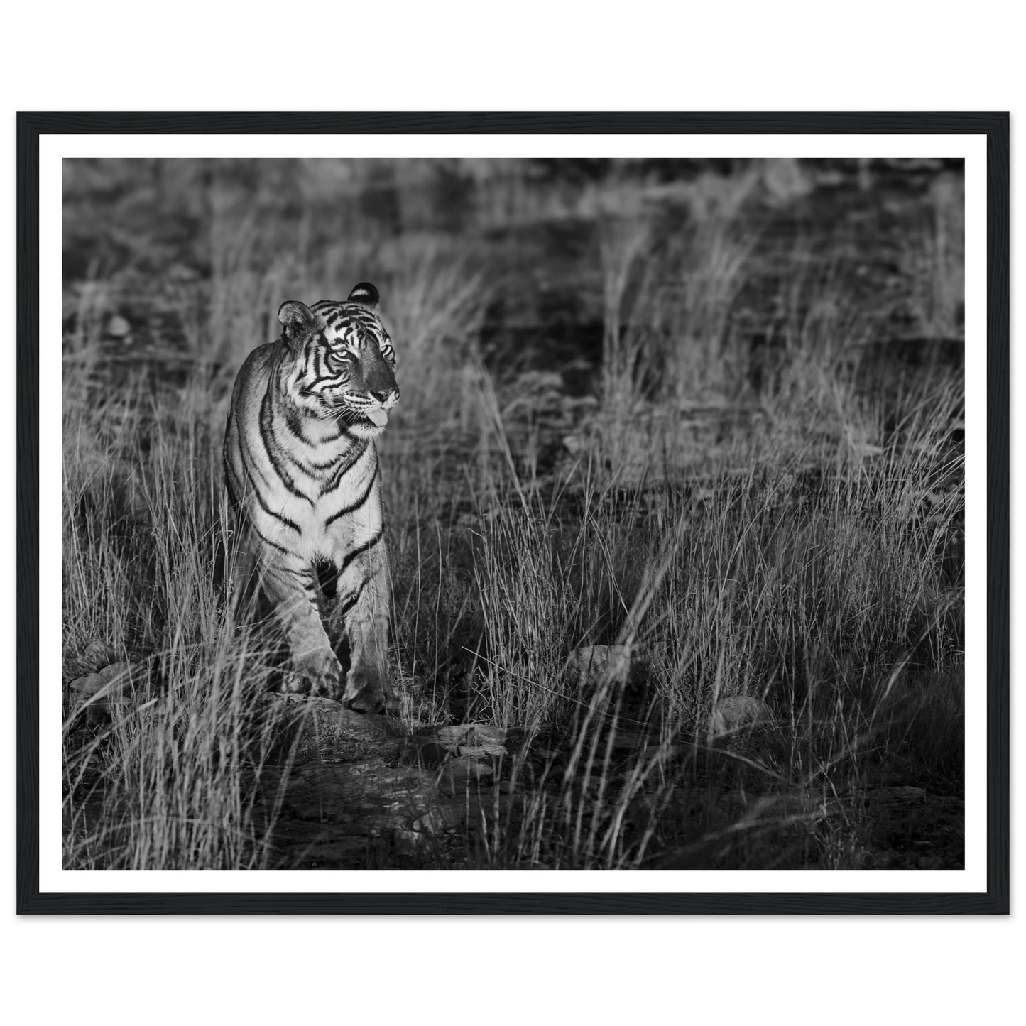 6c8ecdb9-5e7a-4491-a1f8-00eb9575ccd7