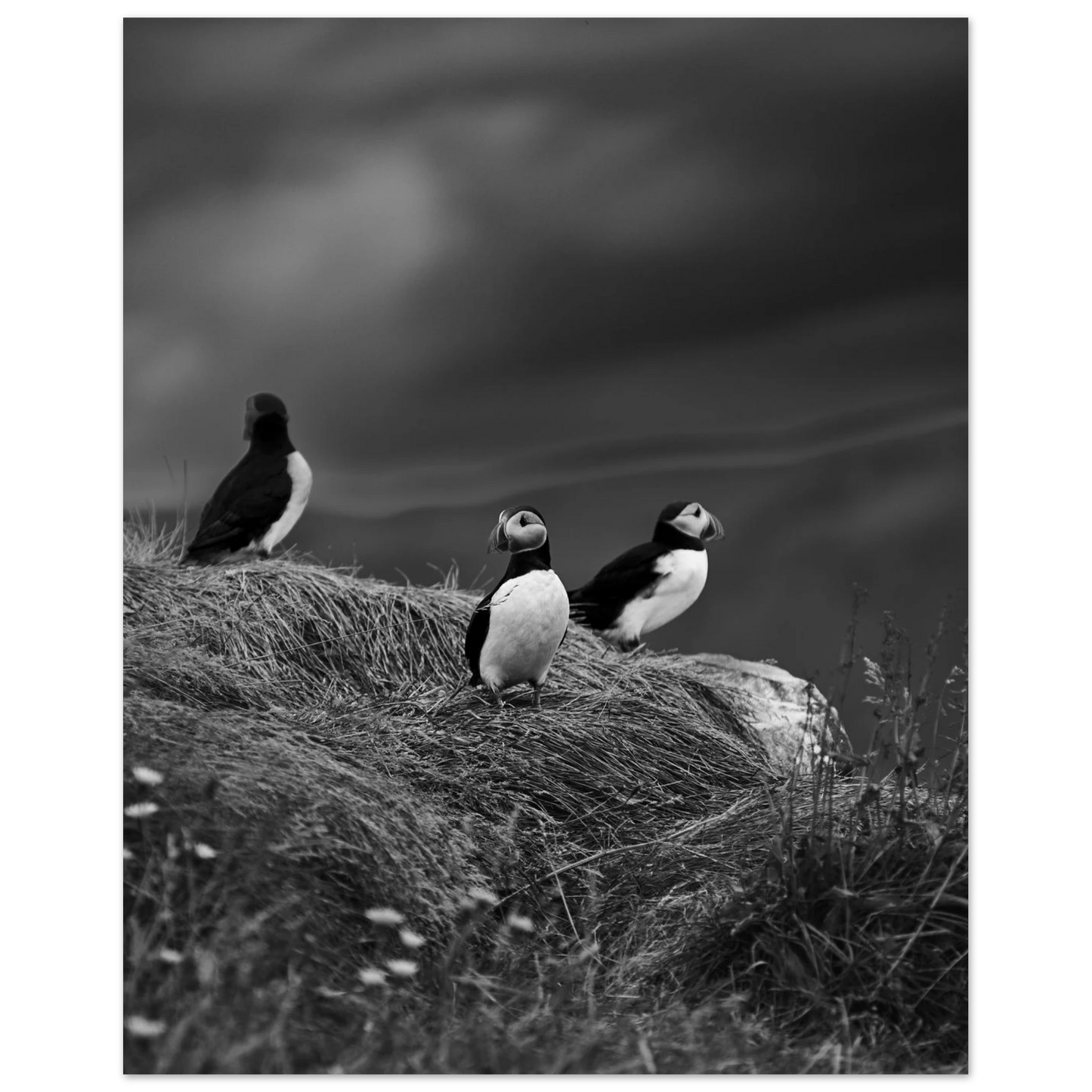 79f27019-cfcc-4360-8784-677f1b40552f