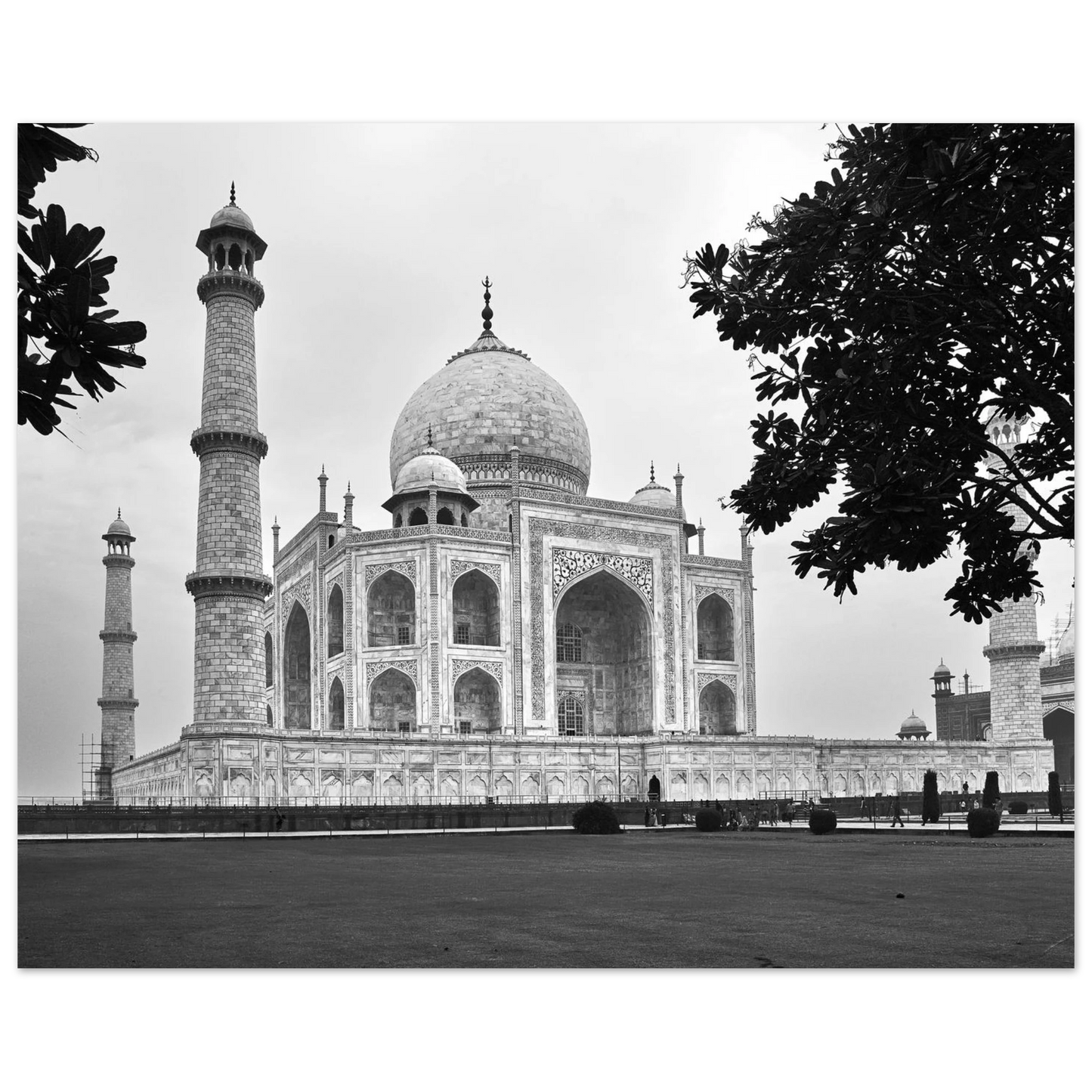 87badf5a-09b4-4f77-99d5-74d95444a244